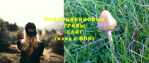 молекула духа Сатка