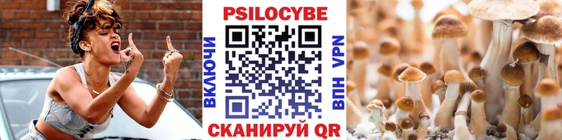 Псилоцибиновые грибы Magic Shrooms  Тайга 